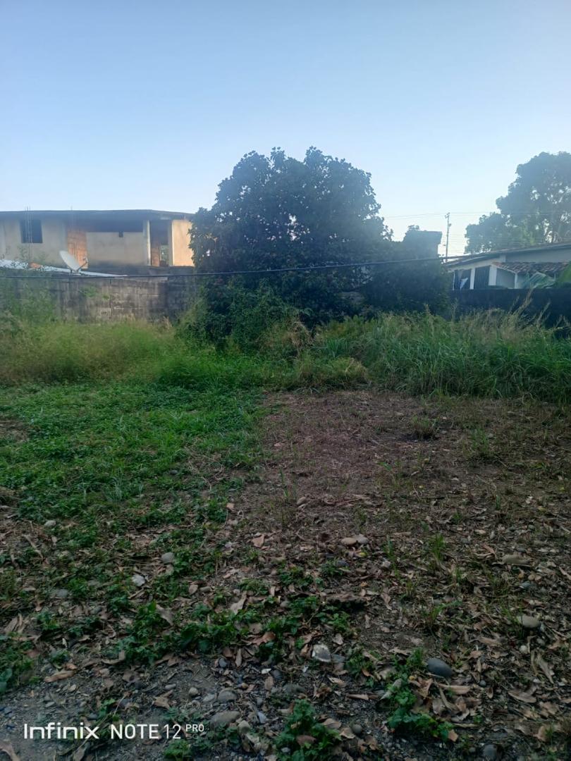 En Venta Casa Quinta ubicada en Guanare el Sector Coromoto, Carrera 5ta. Calle Bis, Guanare, Portuguesa, Venezuela. (1142) - Imagen 2