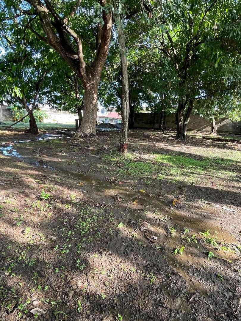 En Venta terreno propio de 2.244 mts2, con casa, al lado del Club Italo Venezolano, ubicada en el Sector A, Apamatal, Guanare, Portuguesa, Venezuela - Imagen 18