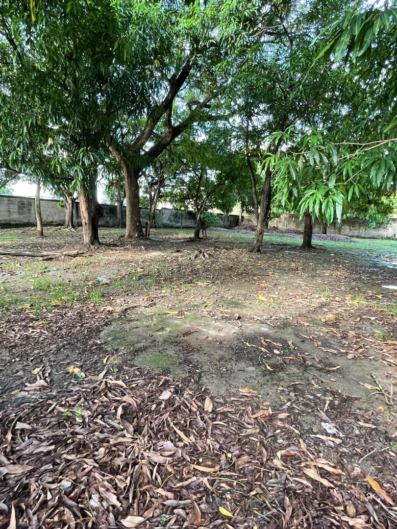 En Venta terreno propio de 2.244 mts2, con casa, al lado del Club Italo Venezolano, ubicada en el Sector A, Apamatal, Guanare, Portuguesa, Venezuela - Imagen 15
