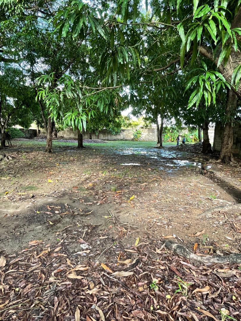 En Venta terreno propio de 2.244 mts2, con casa, al lado del Club Italo Venezolano, ubicada en el Sector A, Apamatal, Guanare, Portuguesa, Venezuela - Imagen 14