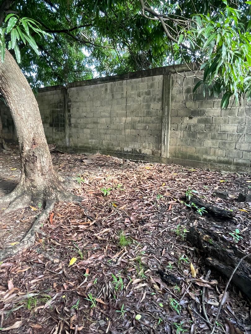 En Venta terreno propio de 2.244 mts2, con casa, al lado del Club Italo Venezolano, ubicada en el Sector A, Apamatal, Guanare, Portuguesa, Venezuela - Imagen 13