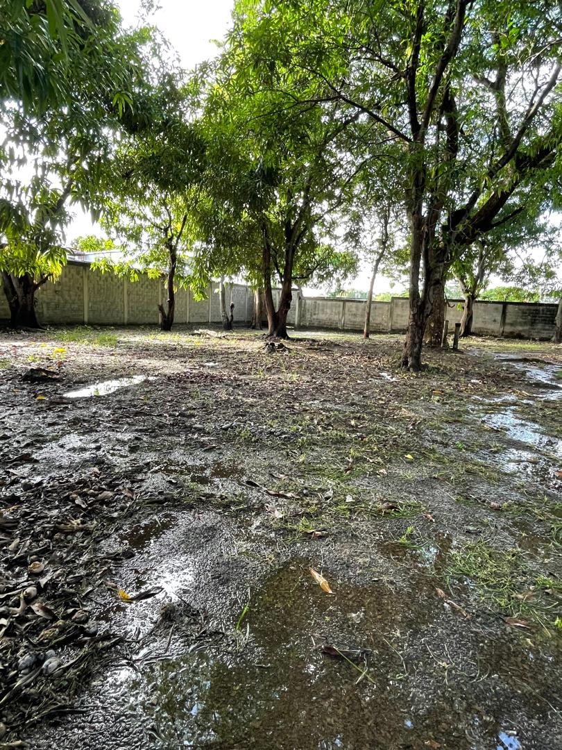 En Venta terreno propio de 2.244 mts2, con casa, al lado del Club Italo Venezolano, ubicada en el Sector A, Apamatal, Guanare, Portuguesa, Venezuela - Imagen 12