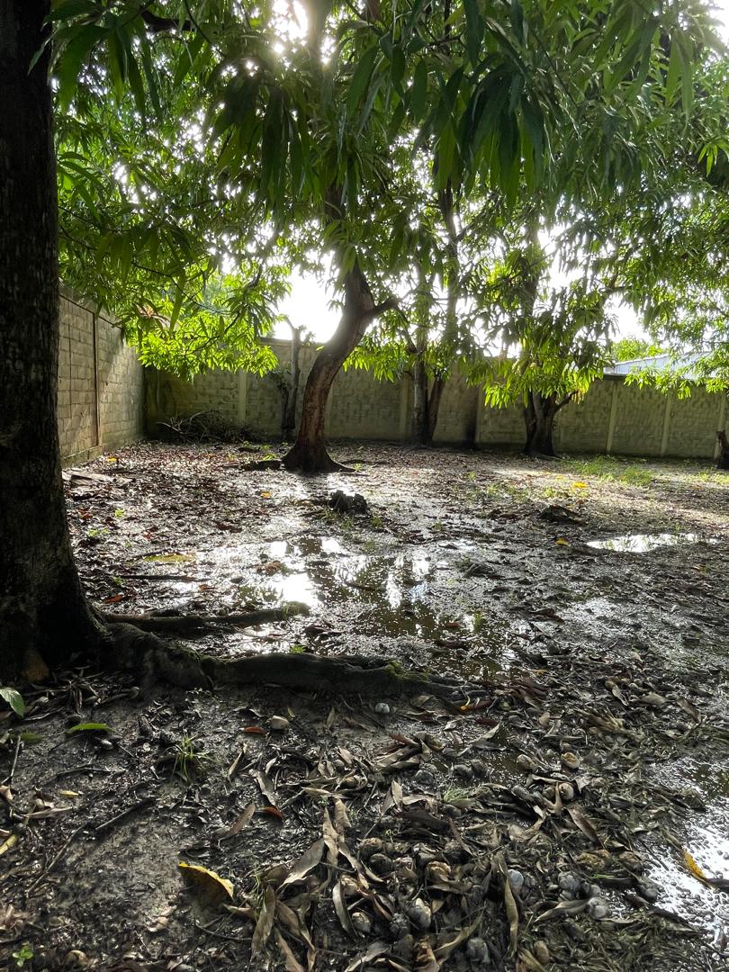 En Venta terreno propio de 2.244 mts2, con casa, al lado del Club Italo Venezolano, ubicada en el Sector A, Apamatal, Guanare, Portuguesa, Venezuela - Imagen 11