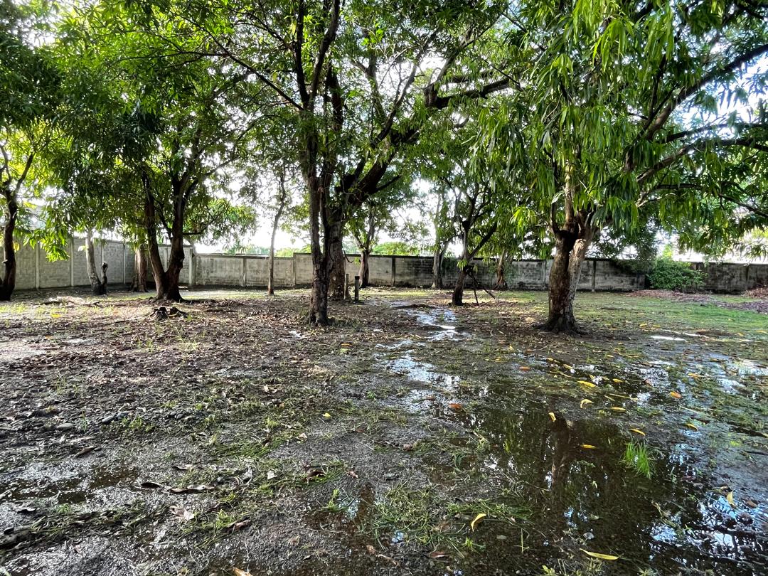 En Venta terreno propio de 2.244 mts2, con casa, al lado del Club Italo Venezolano, ubicada en el Sector A, Apamatal, Guanare, Portuguesa, Venezuela - Imagen 10