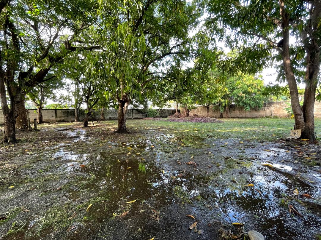 En Venta terreno propio de 2.244 mts2, con casa, al lado del Club Italo Venezolano, ubicada en el Sector A, Apamatal, Guanare, Portuguesa, Venezuela - Imagen 9