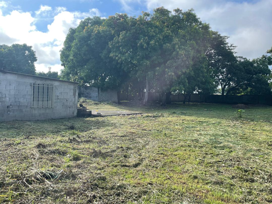 En Venta terreno propio de 2.244 mts2, con casa, al lado del Club Italo Venezolano, ubicada en el Sector A, Apamatal, Guanare, Portuguesa, Venezuela - Imagen 6