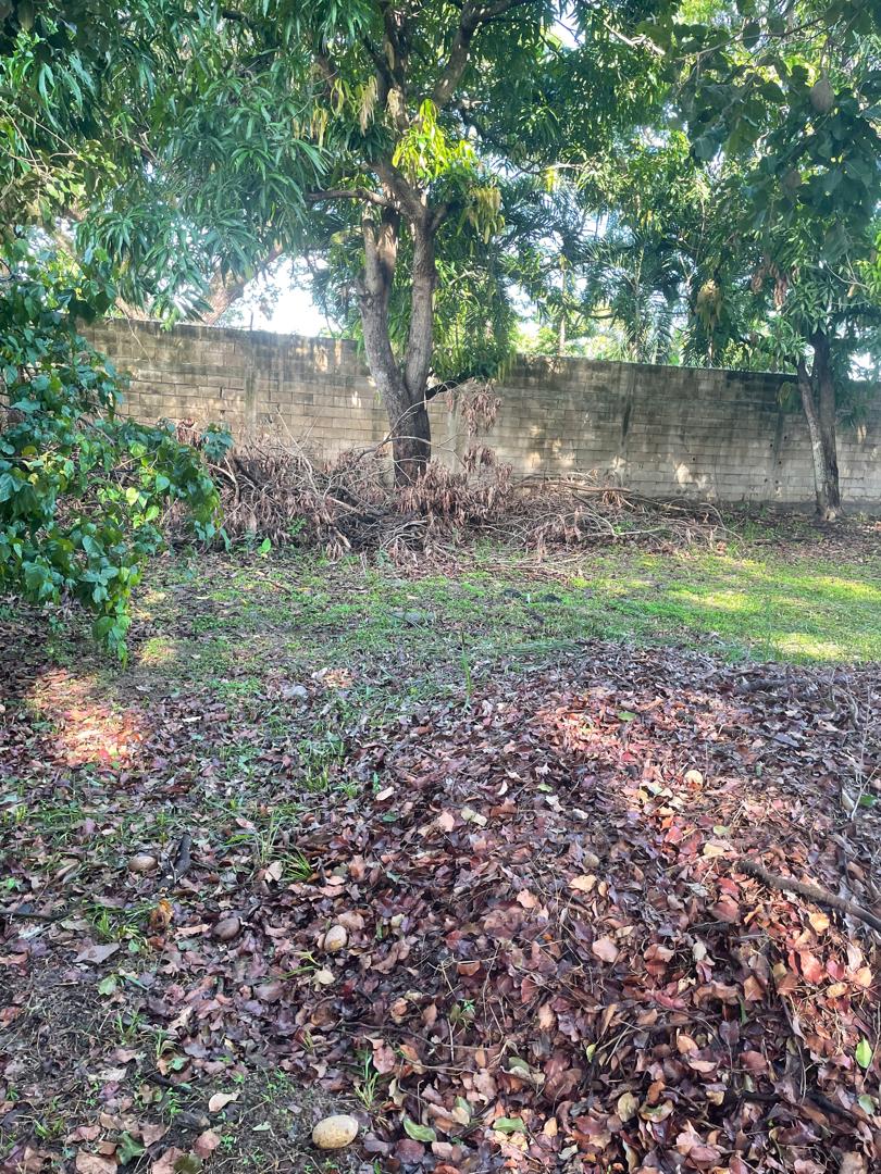En Venta terreno propio de 2.244 mts2, con casa, al lado del Club Italo Venezolano, ubicada en el Sector A, Apamatal, Guanare, Portuguesa, Venezuela - Imagen 27