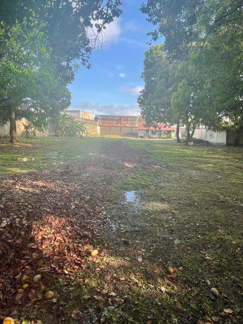 En Venta terreno propio de 2.244 mts2, con casa, al lado del Club Italo Venezolano, ubicada en el Sector A, Apamatal, Guanare, Portuguesa, Venezuela - Imagen 24
