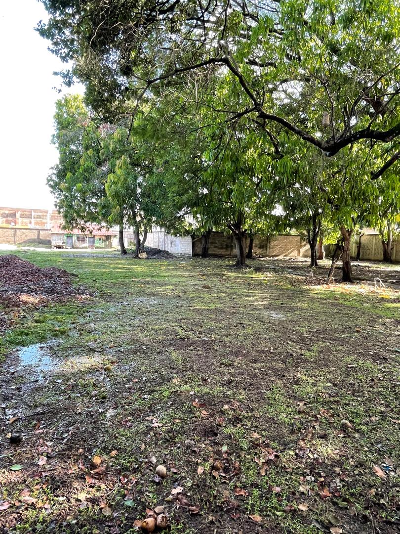 En Venta terreno propio de 2.244 mts2, con casa, al lado del Club Italo Venezolano, ubicada en el Sector A, Apamatal, Guanare, Portuguesa, Venezuela - Imagen 22