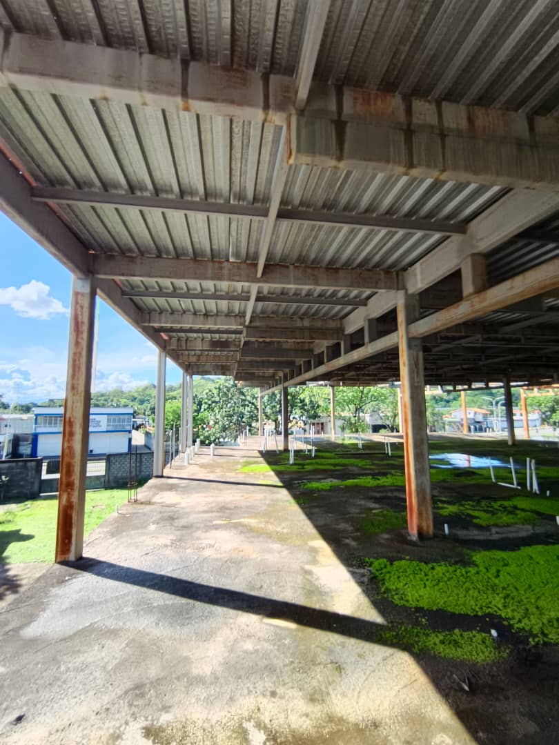 En Venta Estructura para Locales Comerciales en Construcción, ubicado en Guanare, Av. Simón Bolívar con Av. 23 de Enero, Guanare, Portuguesa, Venezuela - Imagen 12