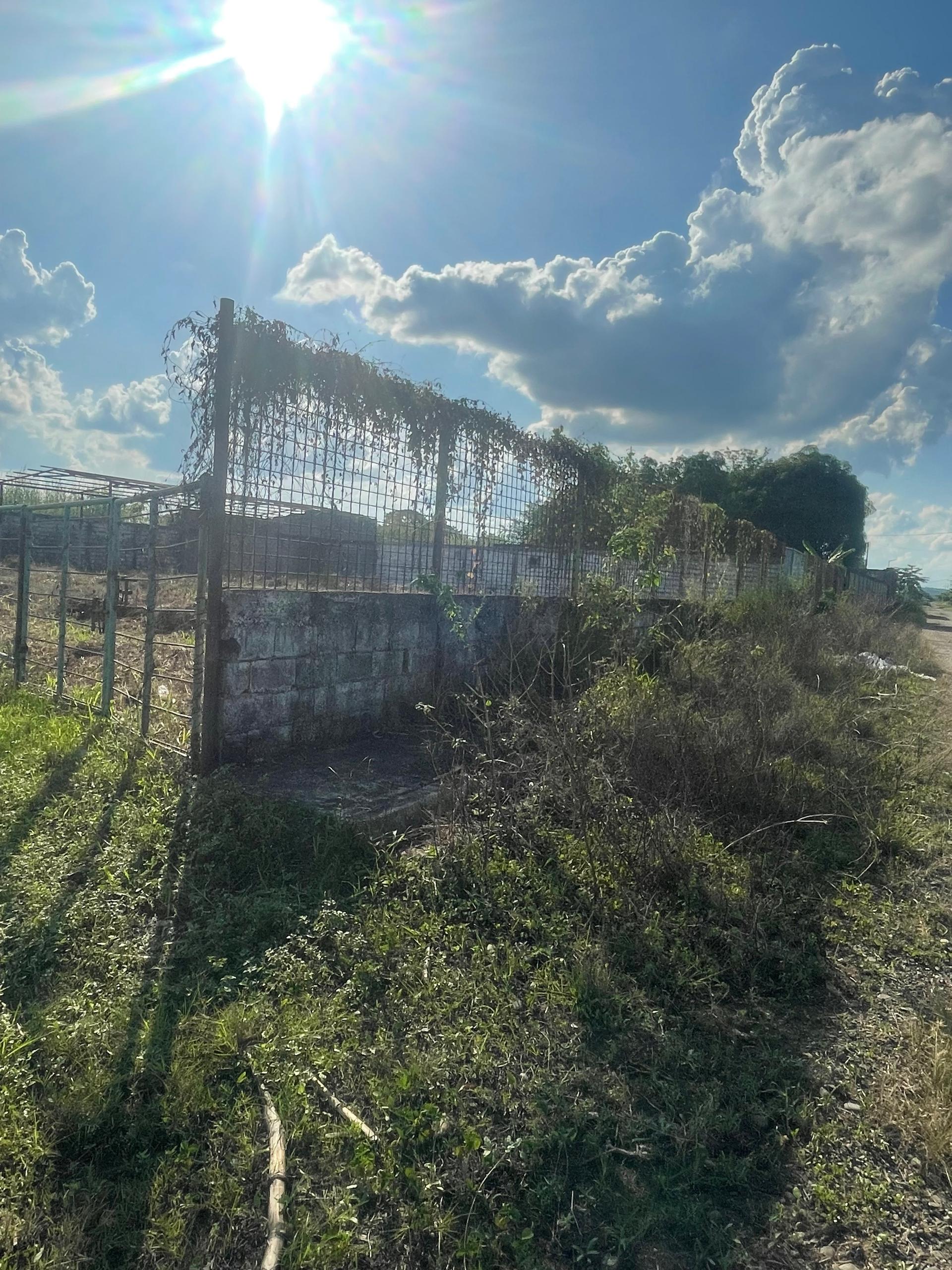En Venta Terreno con Infraestructura ubicado en Guanare, Autopista José Antonio Páez, Av. 1 Sector Sol de Justicia, Guanare, Portuguesa, Venezuela - Imagen 6