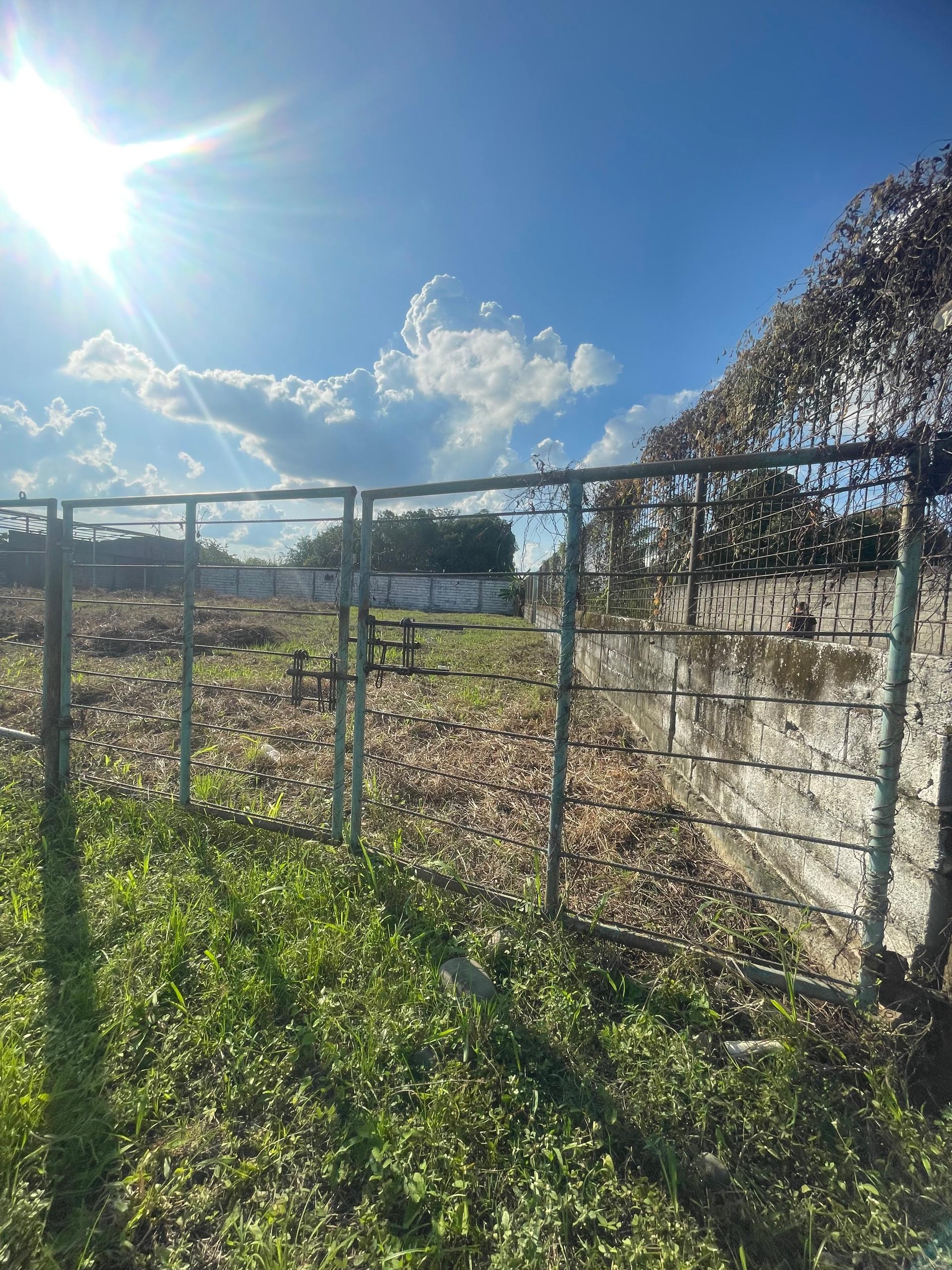 En Venta Terreno con Infraestructura ubicado en Guanare, Autopista José Antonio Páez, Av. 1 Sector Sol de Justicia, Guanare, Portuguesa, Venezuela - Imagen 7