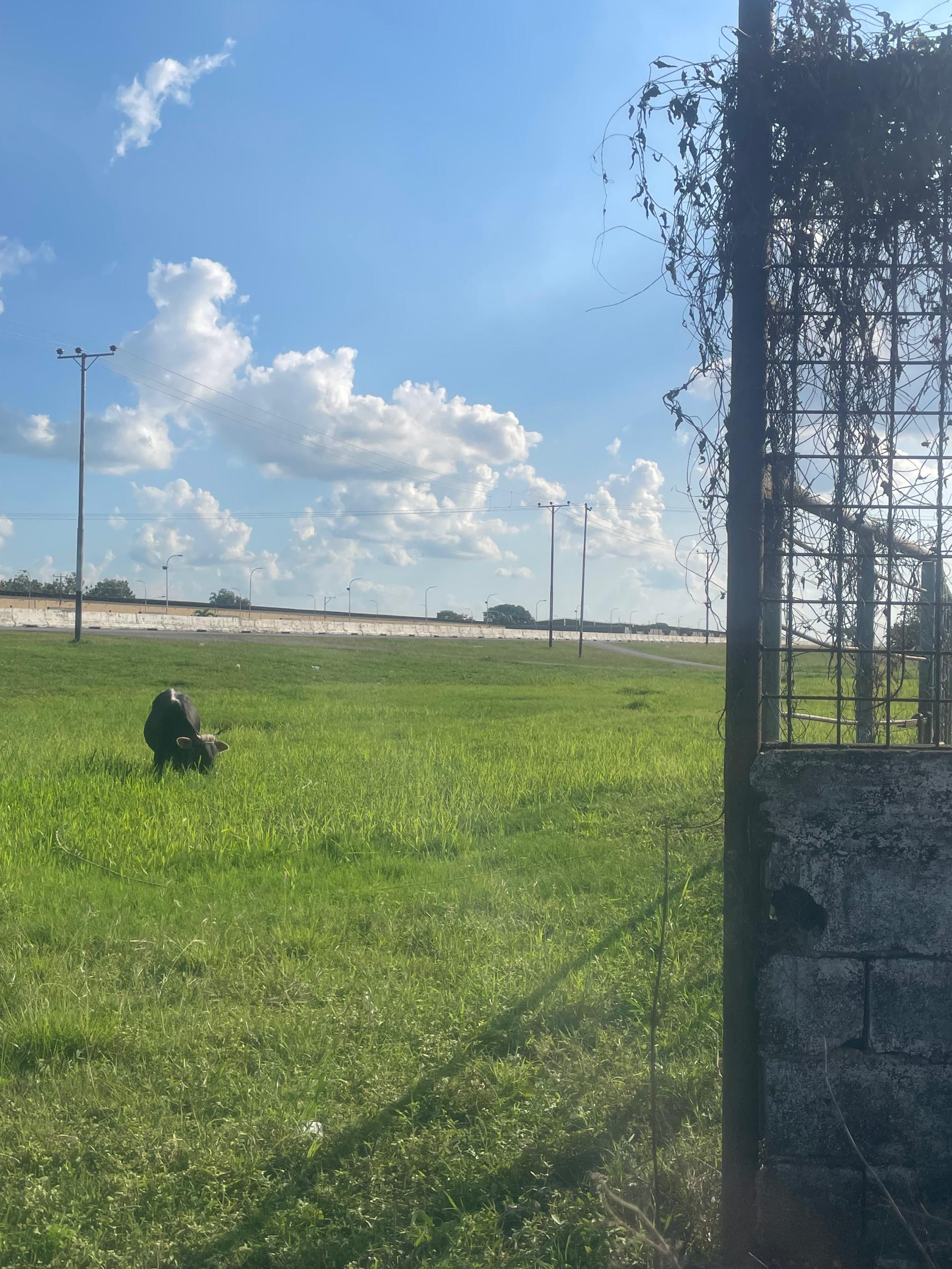 En Venta Terreno con Infraestructura ubicado en Guanare, Autopista José Antonio Páez, Av. 1 Sector Sol de Justicia, Guanare, Portuguesa, Venezuela - Imagen 8