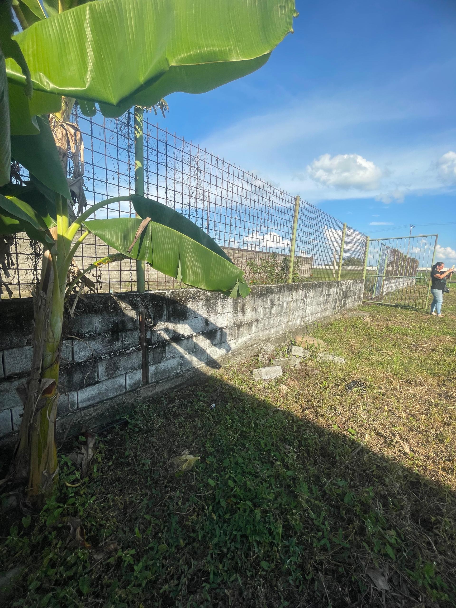 En Venta Terreno con Infraestructura ubicado en Guanare, Autopista José Antonio Páez, Av. 1 Sector Sol de Justicia, Guanare, Portuguesa, Venezuela - Imagen 14