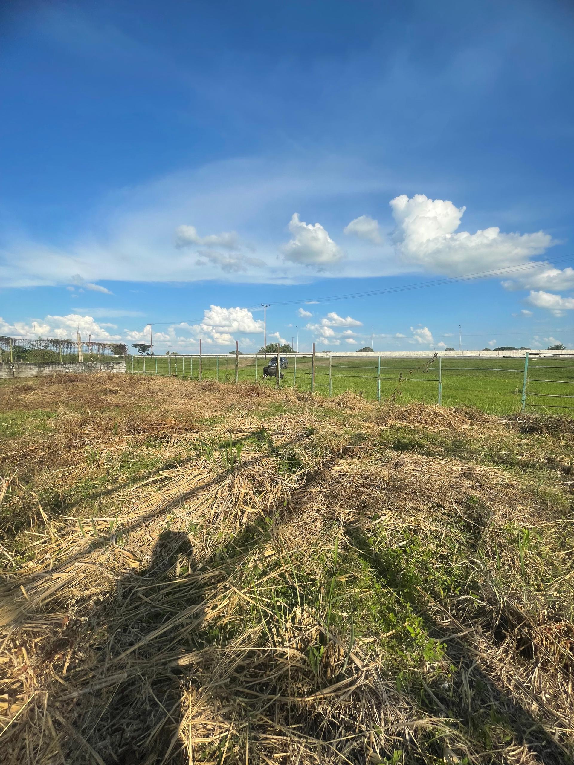 En Venta Terreno con Infraestructura ubicado en Guanare, Autopista José Antonio Páez, Av. 1 Sector Sol de Justicia, Guanare, Portuguesa, Venezuela - Imagen 21