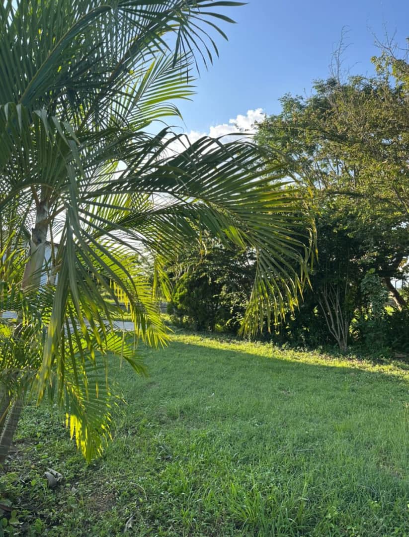 En Venta Parcela con bonita Casa ubicada en Guanare, Parcelamiento La Libertad, Guanare, Portuguesa, Venezuela - Imagen 3