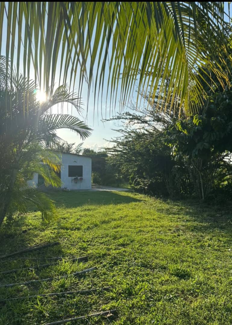En Venta Parcela con bonita Casa ubicada en Guanare, Parcelamiento La Libertad, Guanare, Portuguesa, Venezuela - Imagen 5
