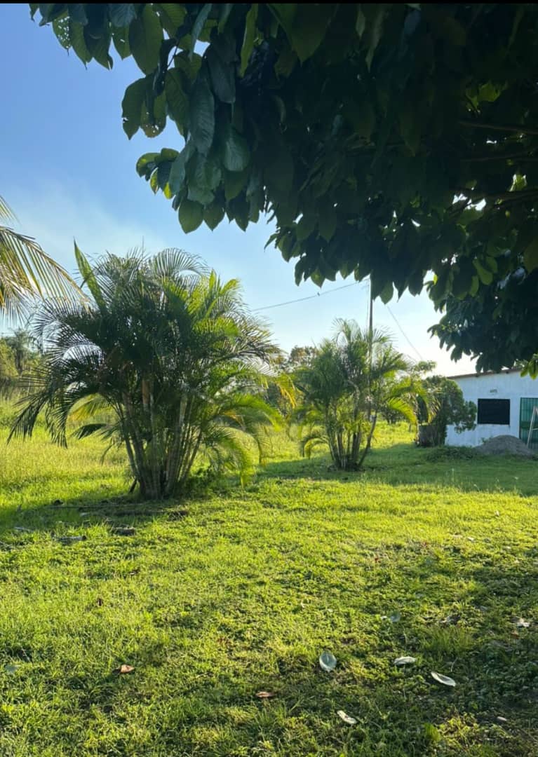En Venta Parcela con bonita Casa ubicada en Guanare, Parcelamiento La Libertad, Guanare, Portuguesa, Venezuela - Imagen 14