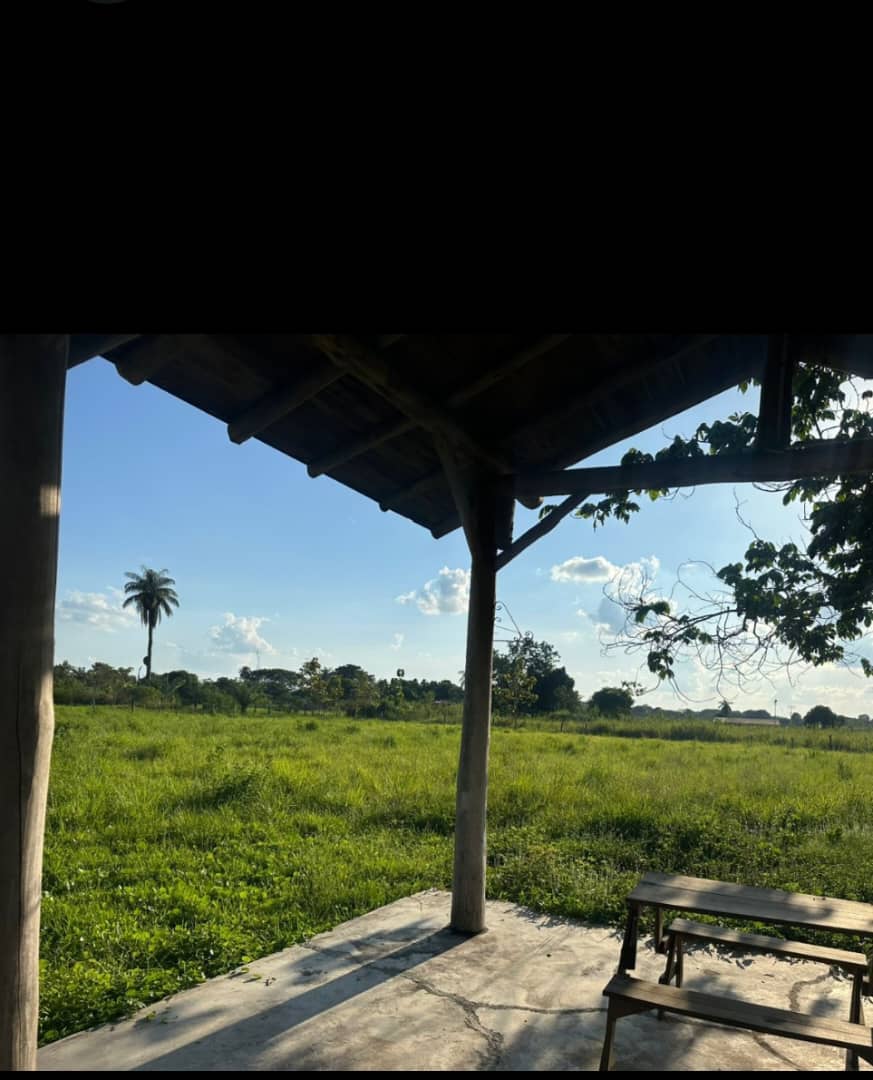 En Venta Parcela con bonita Casa ubicada en Guanare, Parcelamiento La Libertad, Guanare, Portuguesa, Venezuela - Imagen 18