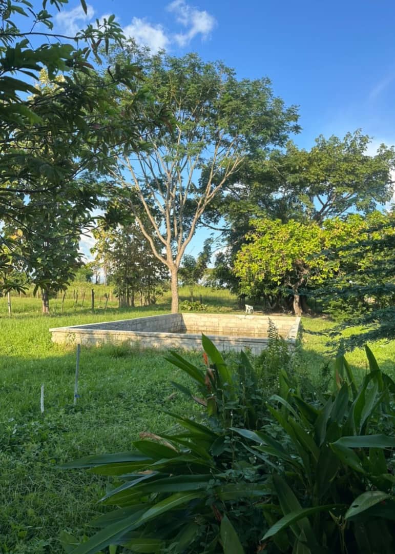 En Venta Parcela con bonita Casa ubicada en Guanare, Parcelamiento La Libertad, Guanare, Portuguesa, Venezuela - Imagen 2