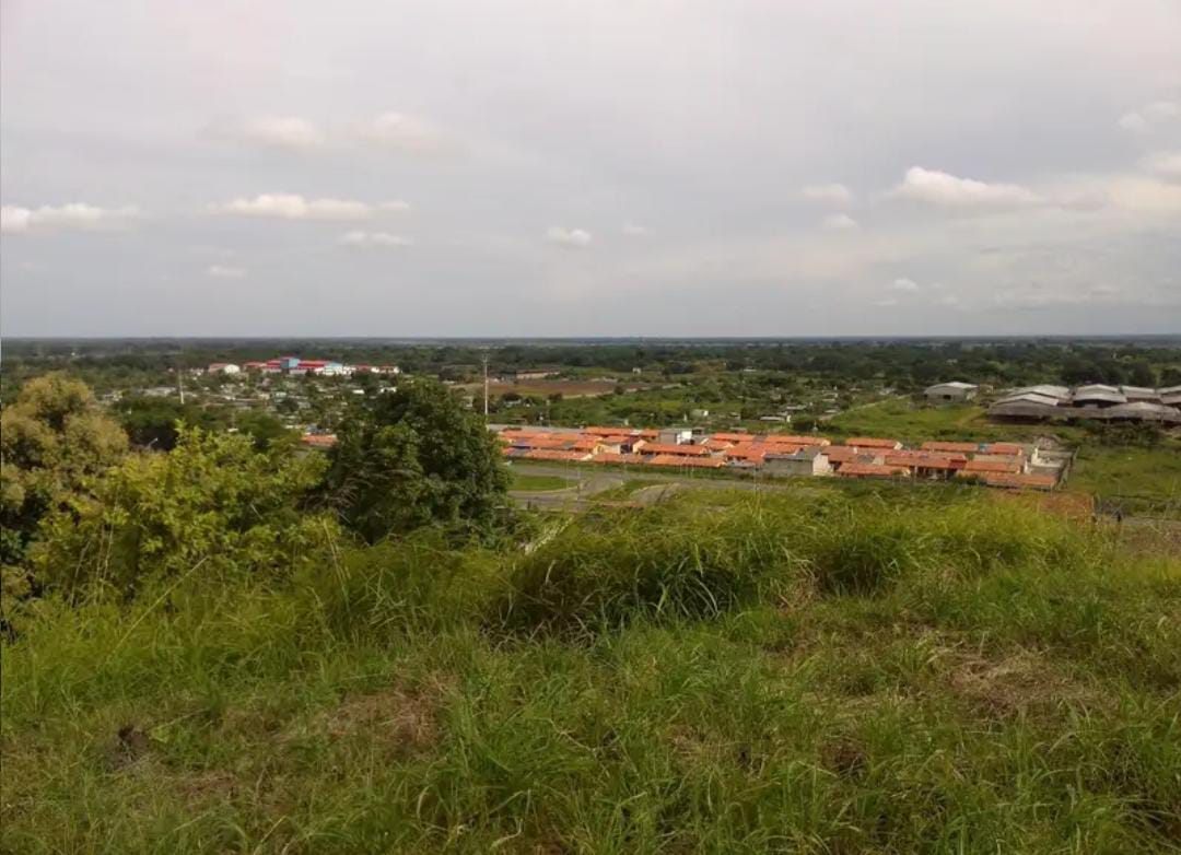 En Venta Parcela de Terreno ubicada en Guanare, Sector Las Flores, la Y, Cerrito Verde, Guanare, Portuguesa, Venezuela - Imagen 9