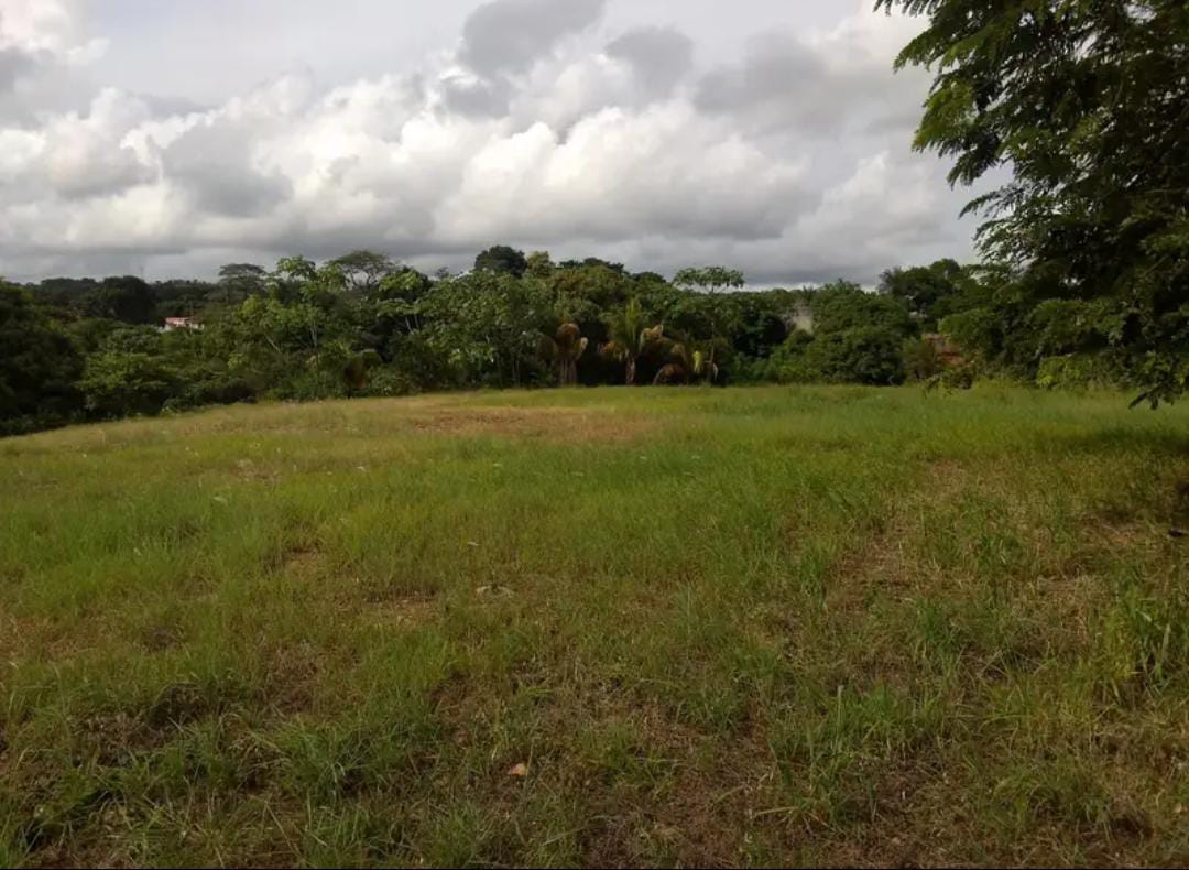 En Venta Parcela de Terreno ubicada en Guanare, Sector Las Flores, la Y, Cerrito Verde, Guanare, Portuguesa, Venezuela - Imagen 10