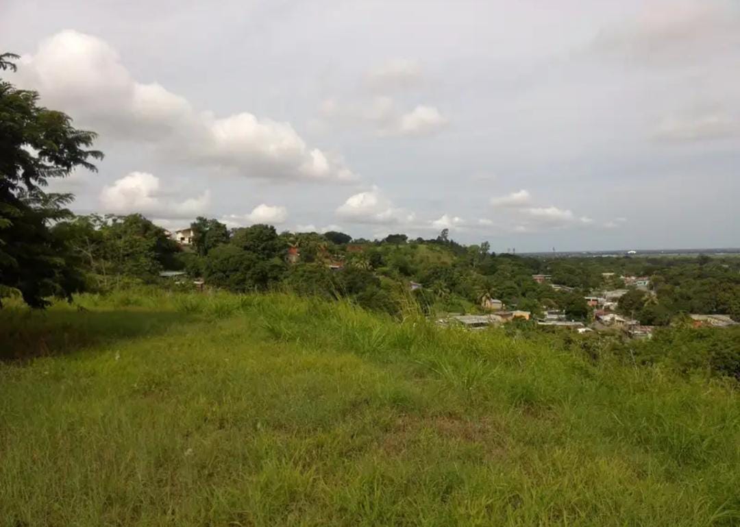 En Venta Parcela de Terreno ubicada en Guanare, Sector Las Flores, la Y, Cerrito Verde, Guanare, Portuguesa, Venezuela - Imagen 5