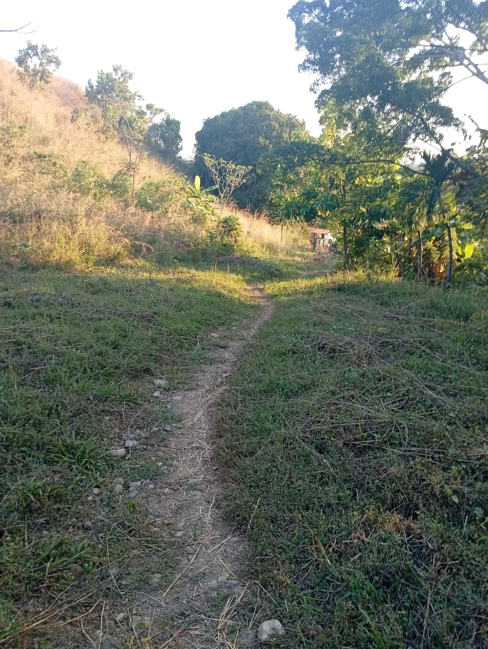 En Venta Parcela de Terreno ubicada en Guanare, Sector Las Flores, la Y, Cerrito Verde, Guanare, Portuguesa, Venezuela - Imagen 6