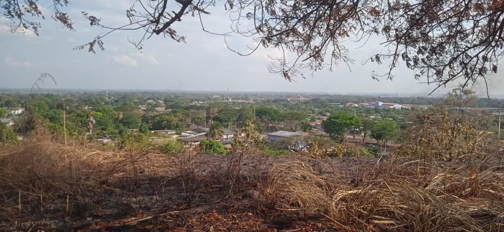 En Venta Parcela de Terreno ubicada en Guanare, Sector Las Flores, la Y, Cerrito Verde, Guanare, Portuguesa, Venezuela - Imagen 7