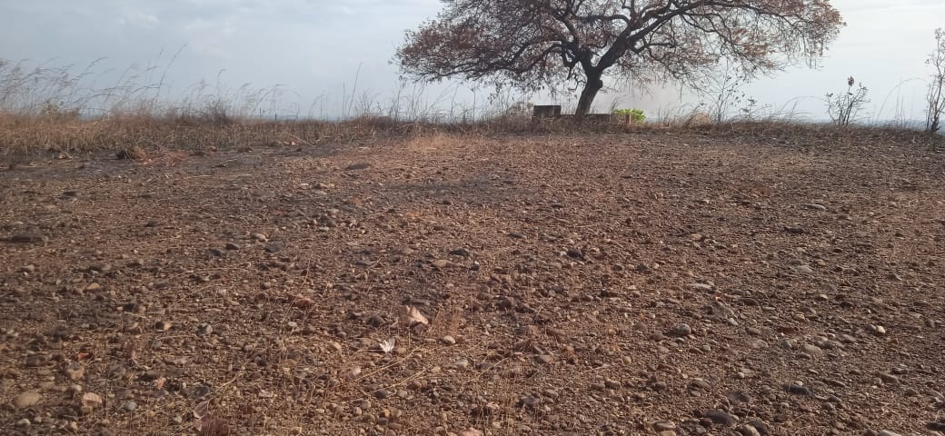 En Venta Parcela de Terreno ubicada en Guanare, Sector Las Flores, la Y, Cerrito Verde, Guanare, Portuguesa, Venezuela - Imagen 8