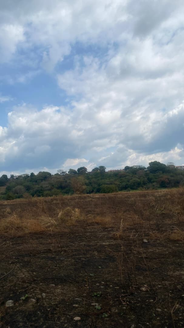 En Venta Parcela de 17,77 HA ubicada en Guanare, Sector La Colonia Agrícola, Parte Alta, Guanare, Portuguesa, Venezuela - Imagen 9