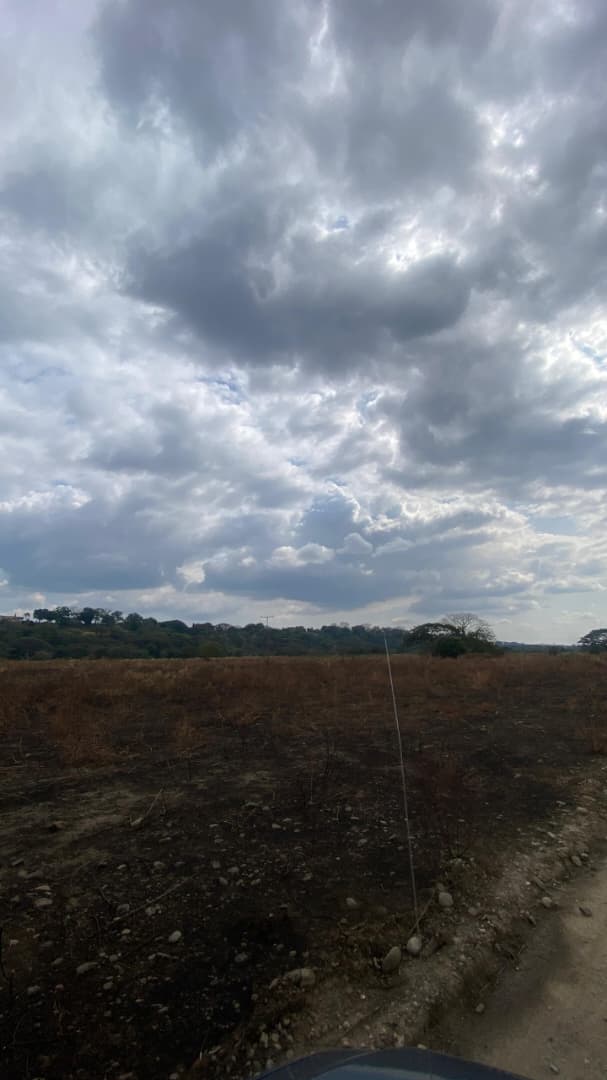 En Venta Parcela de 17,77 HA ubicada en Guanare, Sector La Colonia Agrícola, Parte Alta, Guanare, Portuguesa, Venezuela - Imagen 3