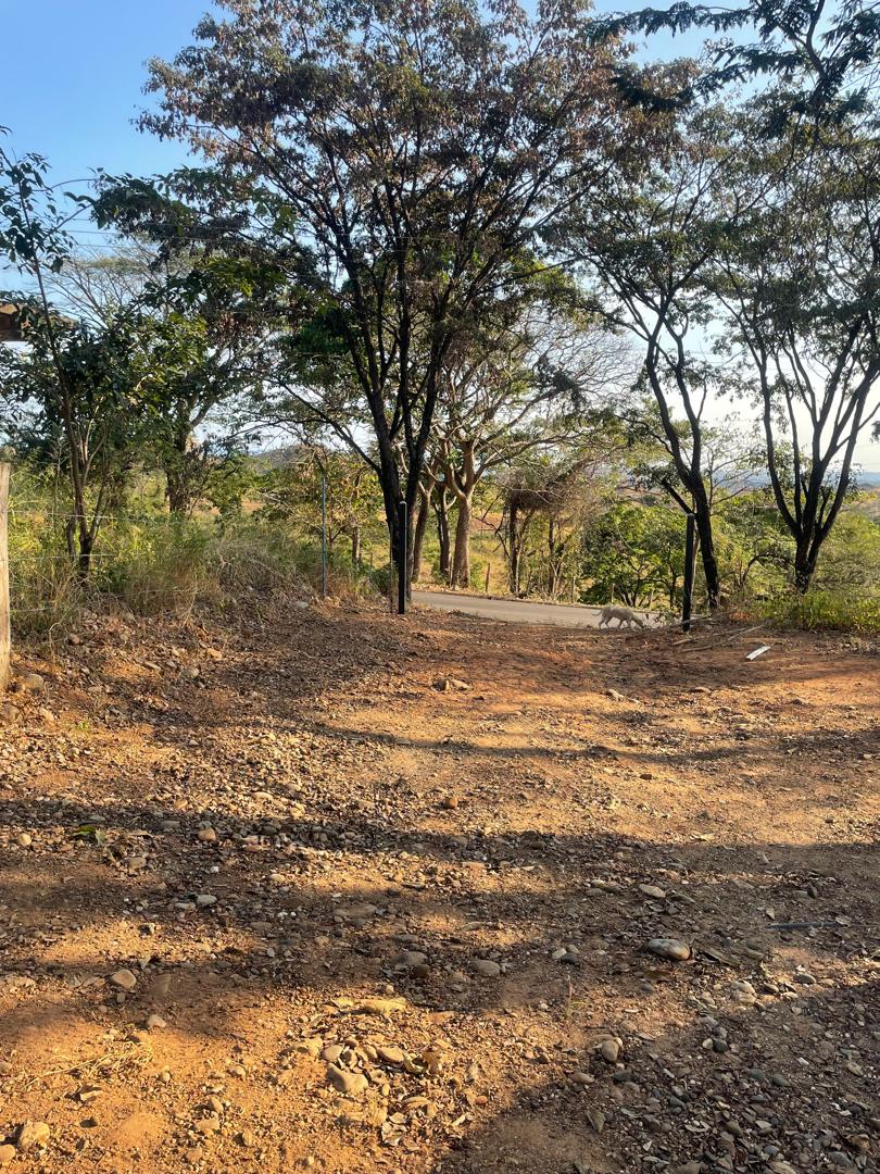 En Venta Casa con amplio terreno ubicada en Guanare, Sector Mesa Alta vía principal, Guanare, Portuguesa, Venezuela - Imagen 13