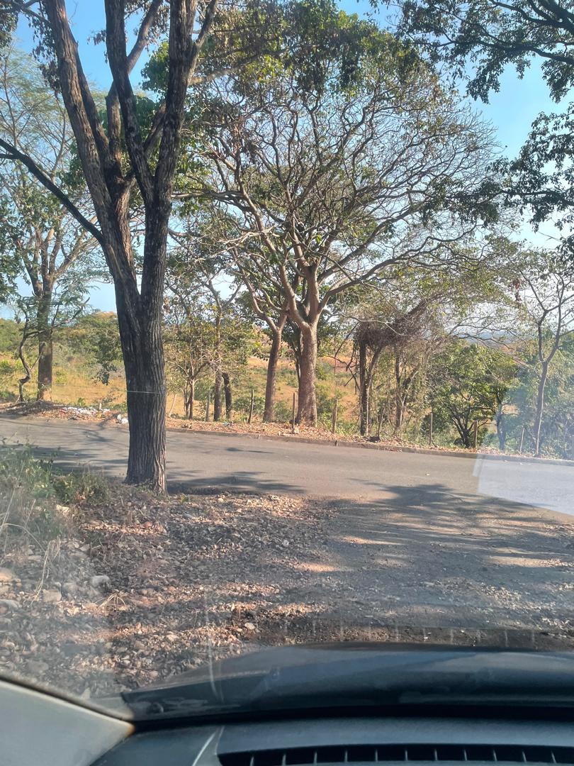 En Venta Casa con amplio terreno ubicada en Guanare, Sector Mesa Alta vía principal, Guanare, Portuguesa, Venezuela - Imagen 27