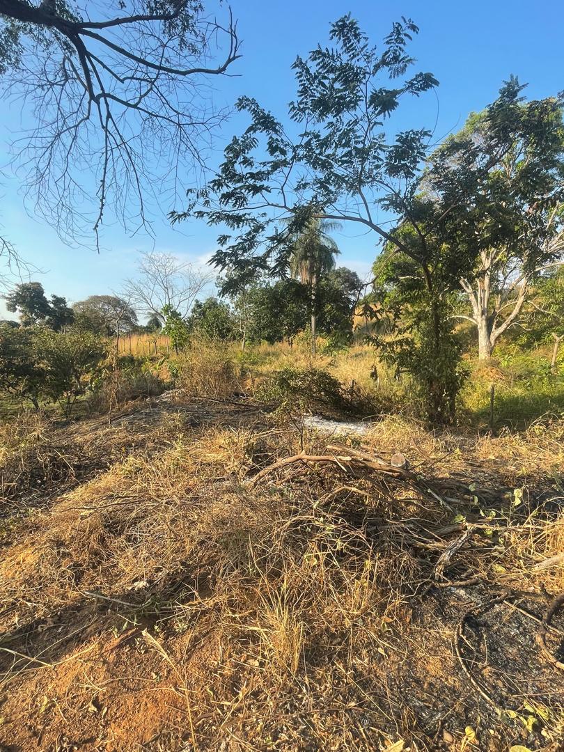 En Venta Casa con amplio terreno ubicada en Guanare, Sector Mesa Alta vía principal, Guanare, Portuguesa, Venezuela - Imagen 5