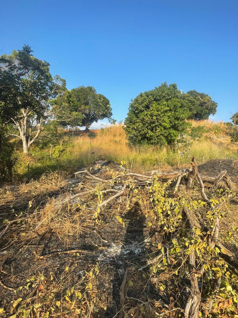 En Venta Casa con amplio terreno ubicada en Guanare, Sector Mesa Alta vía principal, Guanare, Portuguesa, Venezuela - Imagen 6