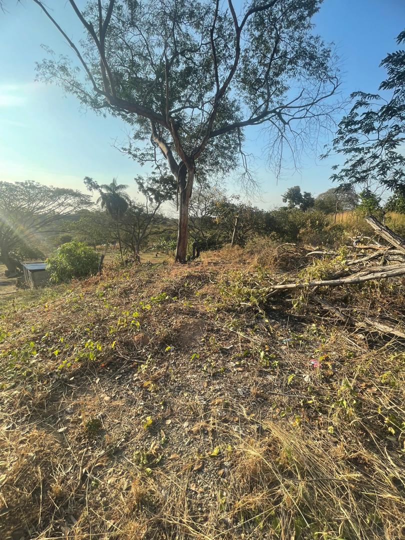 En Venta Casa con amplio terreno ubicada en Guanare, Sector Mesa Alta vía principal, Guanare, Portuguesa, Venezuela - Imagen 7