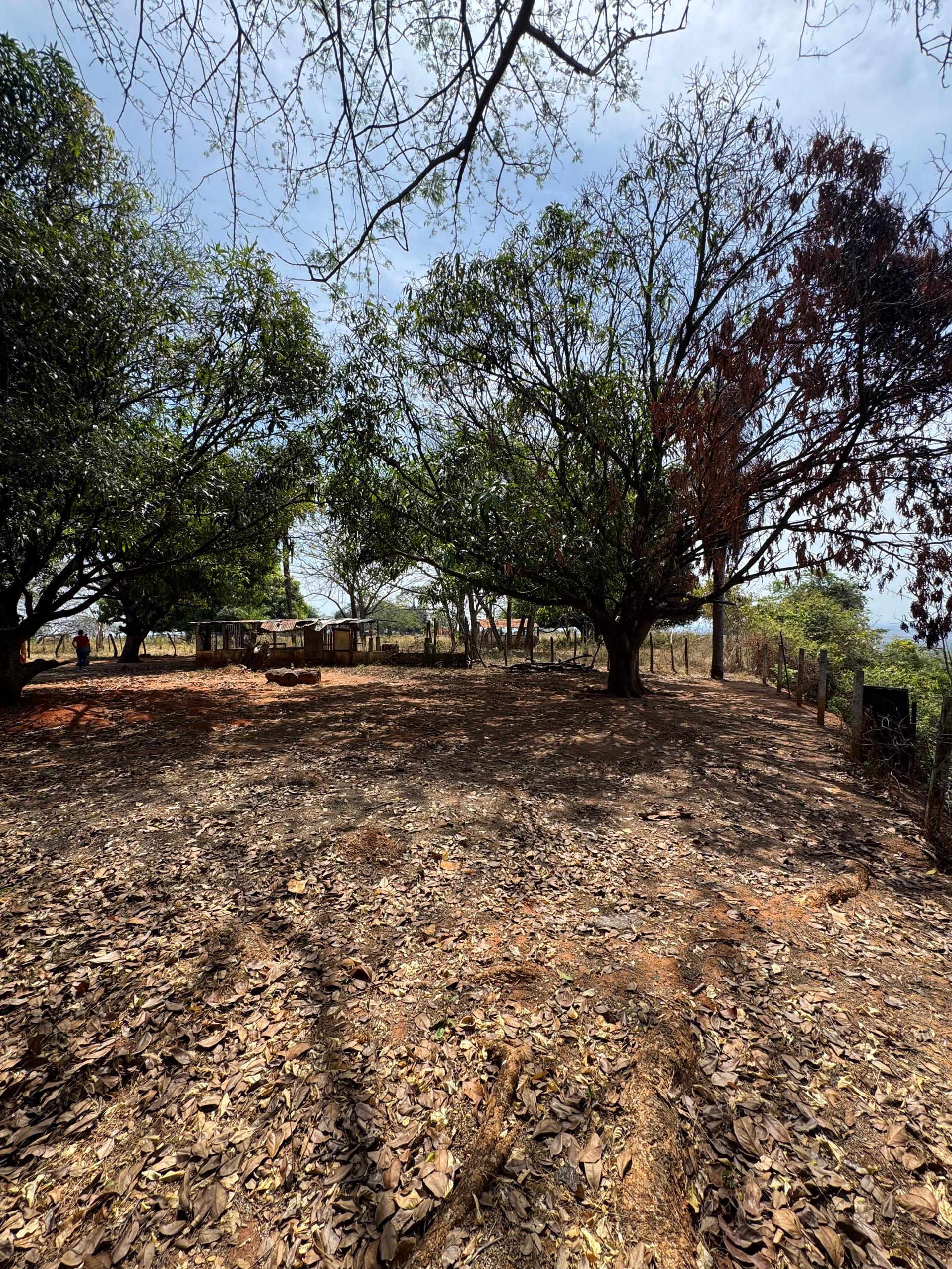 En Venta Parcela con casa y amplio Terreno, ideal para fines turísticos y/o granja, ubicada en el Sector Mesa Alta, Av. principal Mesa Alta, Guanare, Portuguesa, Venezuela - Imagen 9