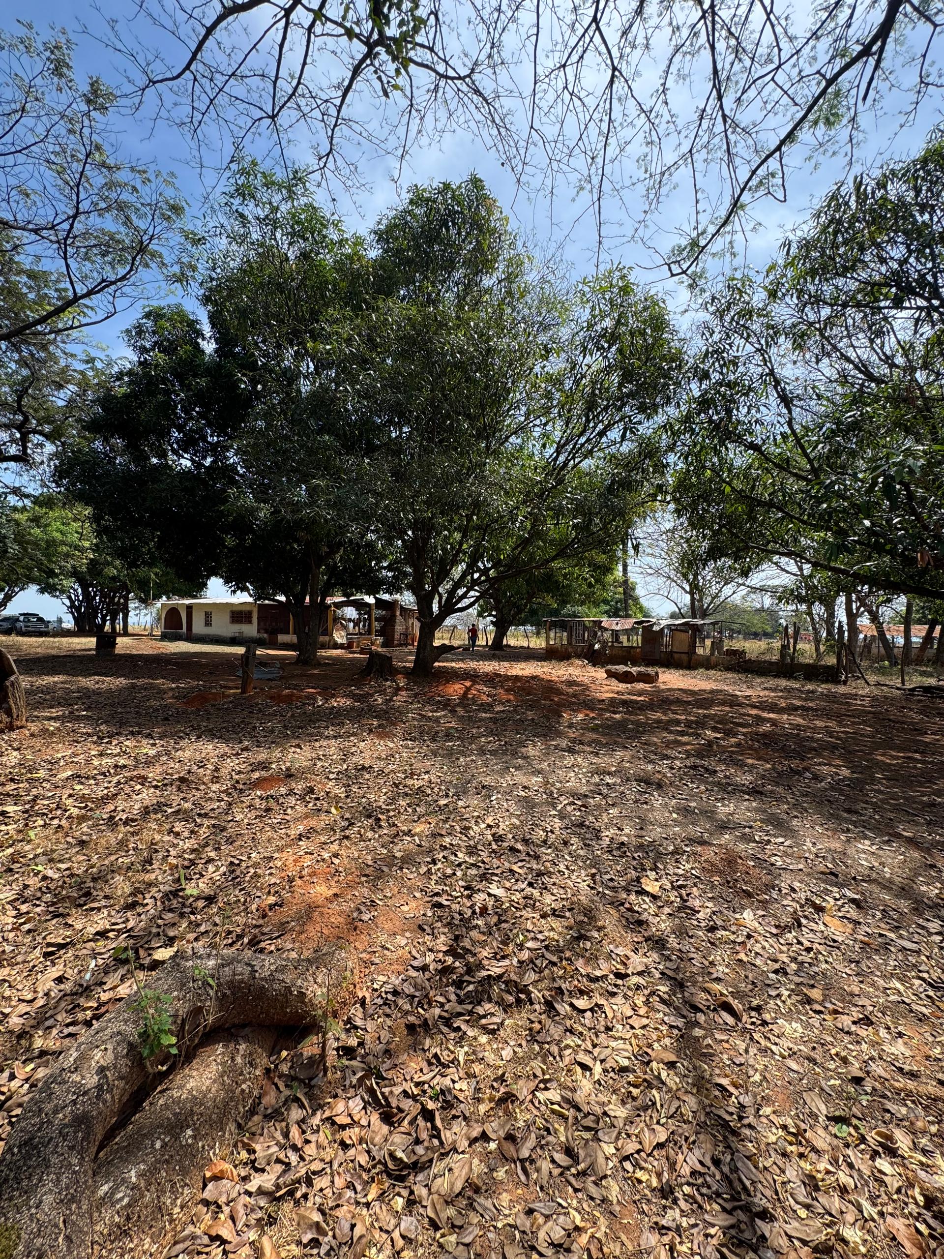 En Venta Parcela con casa y amplio Terreno, ideal para fines turísticos y/o granja, ubicada en el Sector Mesa Alta, Av. principal Mesa Alta, Guanare, Portuguesa, Venezuela - Imagen 10