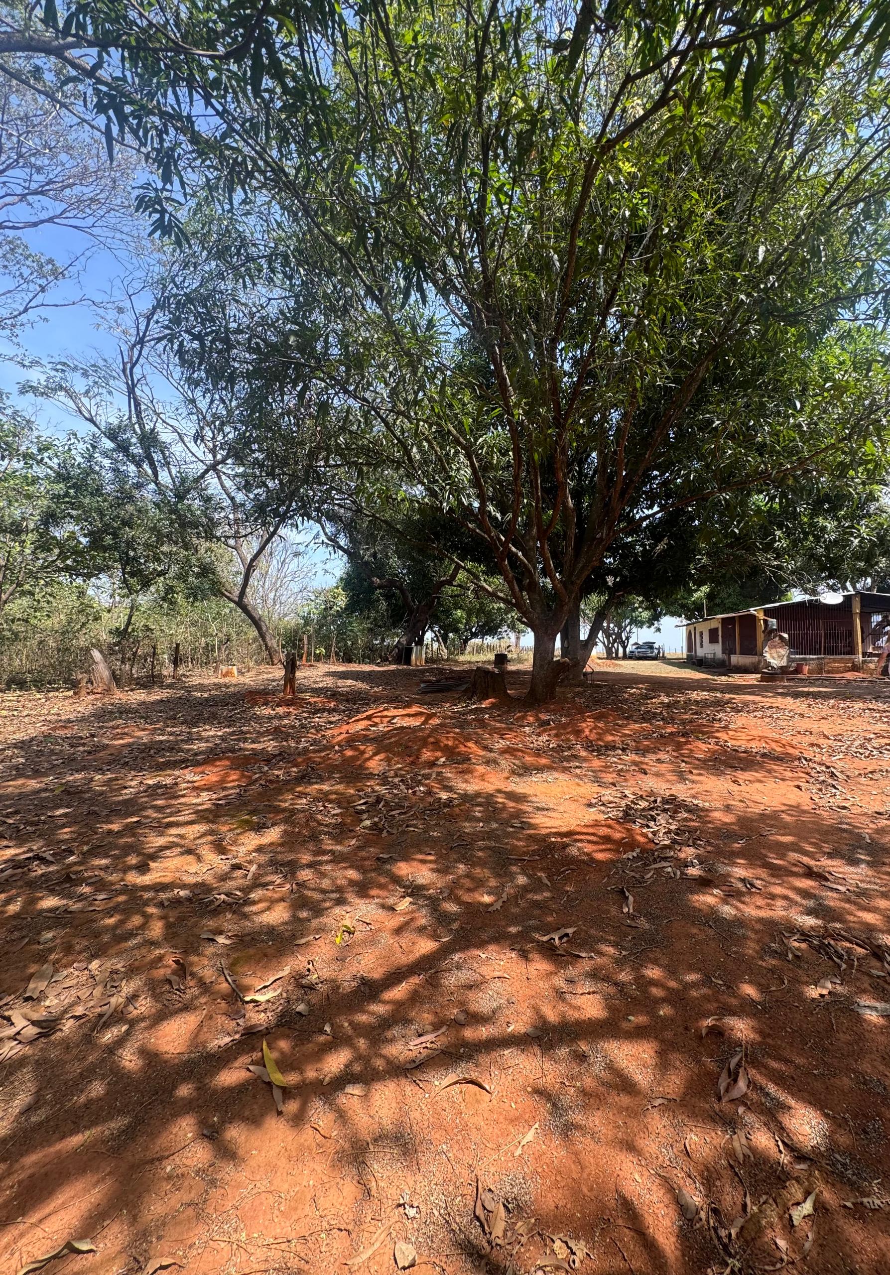 En Venta Parcela con casa y amplio Terreno, ideal para fines turísticos y/o granja, ubicada en el Sector Mesa Alta, Av. principal Mesa Alta, Guanare, Portuguesa, Venezuela - Imagen 11