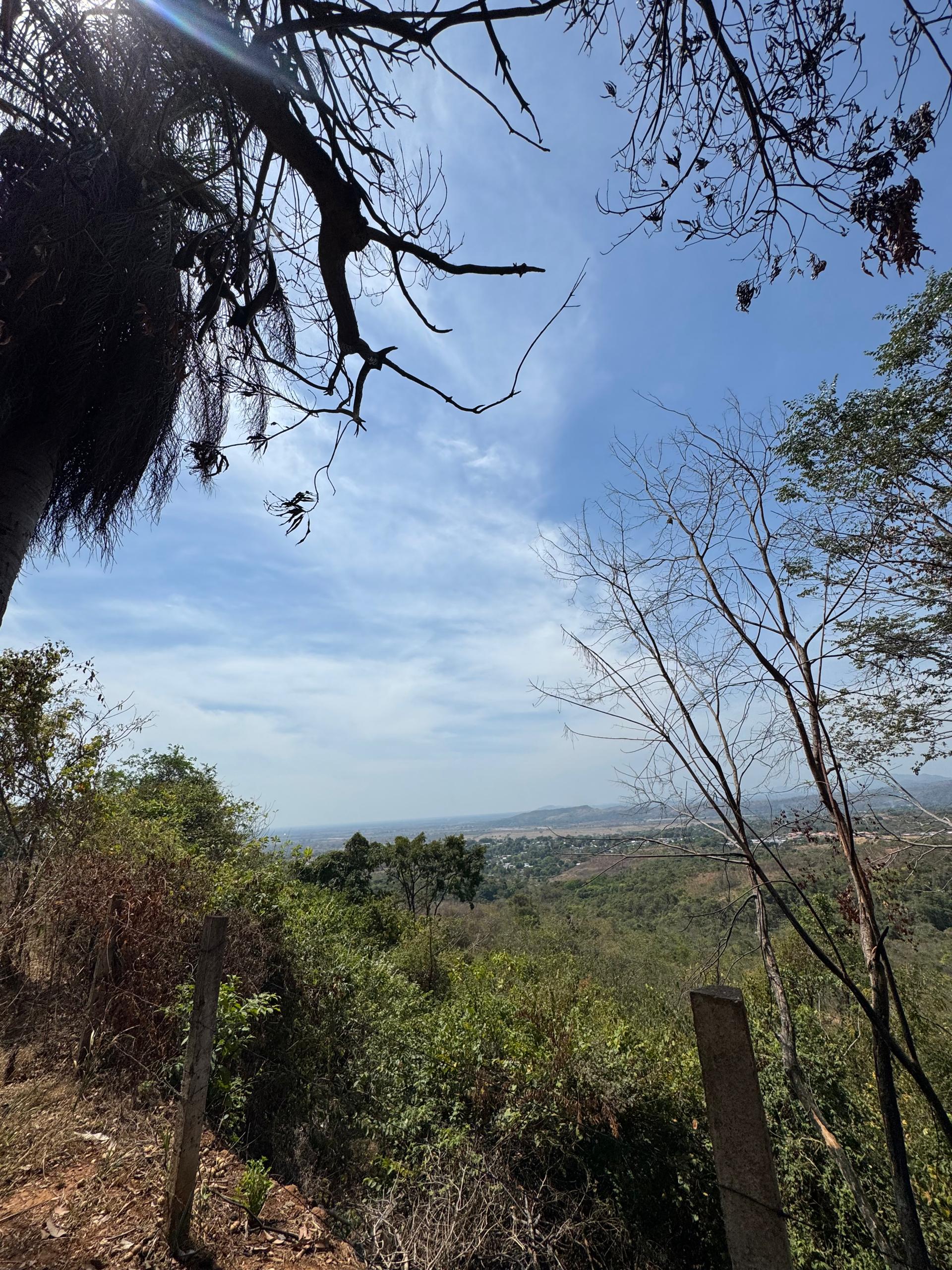 En Venta Parcela con casa y amplio Terreno, ideal para fines turísticos y/o granja, ubicada en el Sector Mesa Alta, Av. principal Mesa Alta, Guanare, Portuguesa, Venezuela - Imagen 16