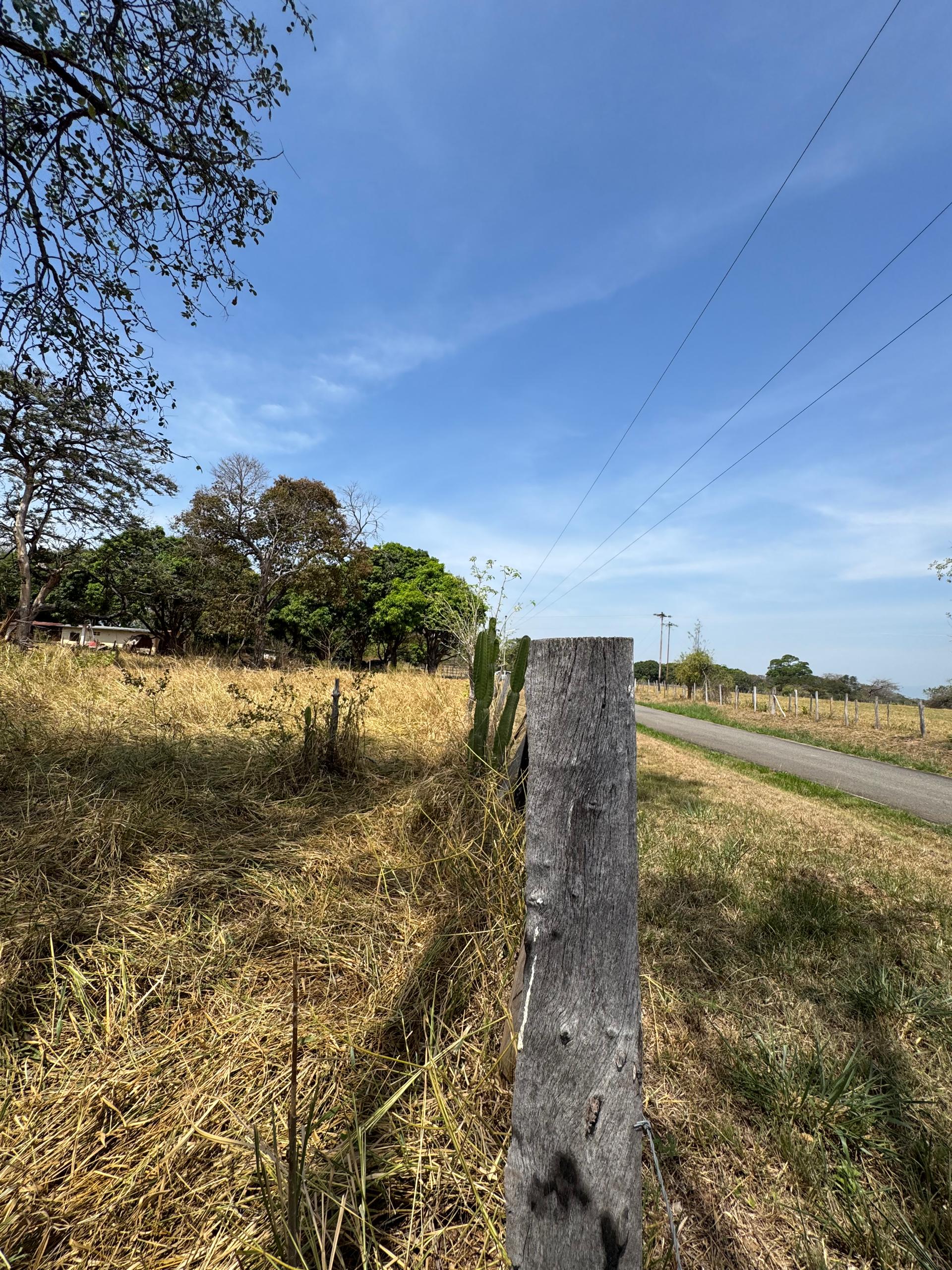 En Venta Parcela con casa y amplio Terreno, ideal para fines turísticos y/o granja, ubicada en el Sector Mesa Alta, Av. principal Mesa Alta, Guanare, Portuguesa, Venezuela - Imagen 20