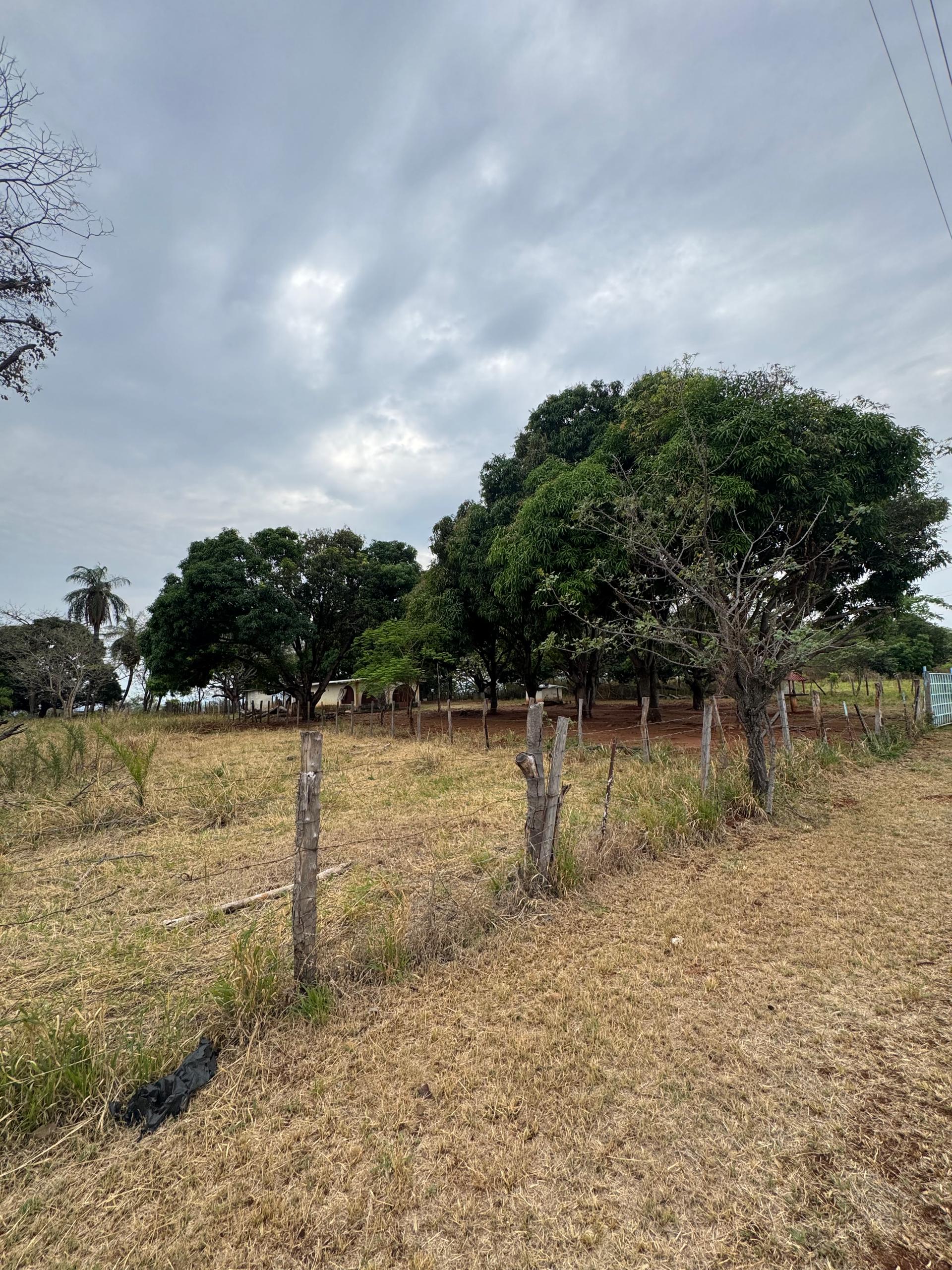 En Venta Parcela con casa y amplio Terreno, ideal para fines turísticos y/o granja, ubicada en el Sector Mesa Alta, Av. principal Mesa Alta, Guanare, Portuguesa, Venezuela - Imagen 5