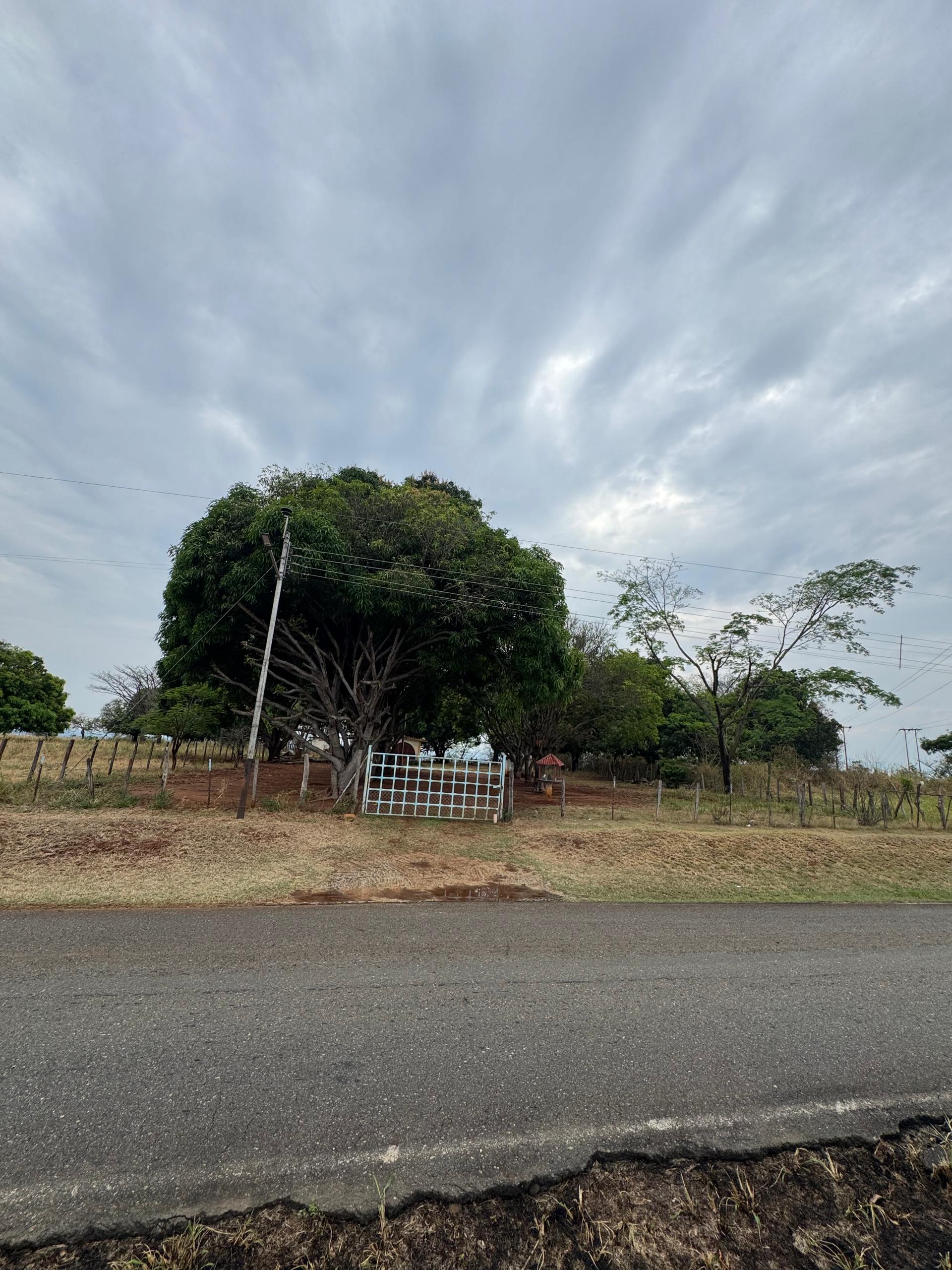 En Venta Parcela con casa y amplio Terreno, ideal para fines turísticos y/o granja, ubicada en el Sector Mesa Alta, Av. principal Mesa Alta, Guanare, Portuguesa, Venezuela - Imagen 6