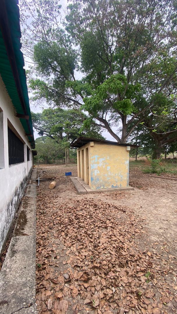En Venta Finca de 103 Hectáreas ubicada en Papelón, Sector El Maceo, Papelón, Portuguesa, Venezuela - Imagen 6