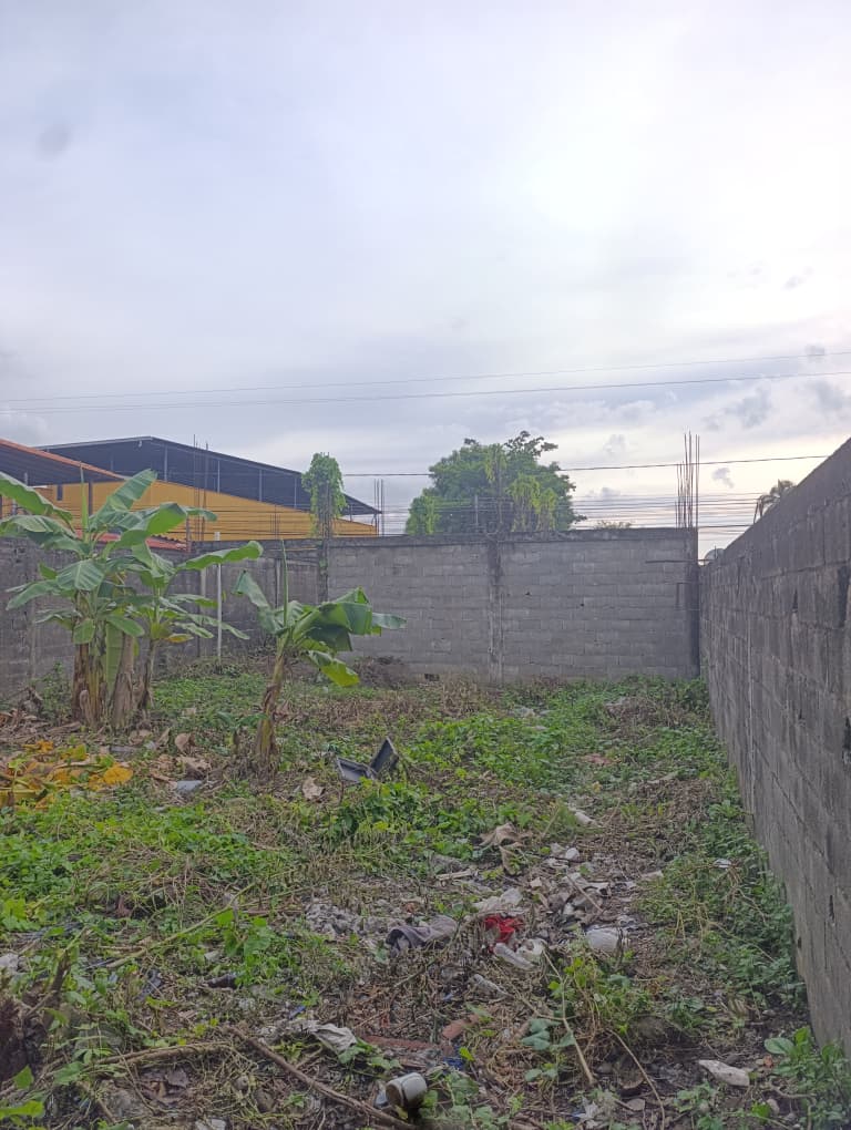 En Venta Terreno con bienhechurías ubicado en Guanare, pleno corredor vial, Calle 7 entre Carreras 13 y 14, Guanare, Portuguesa, Venezuela - Imagen 5