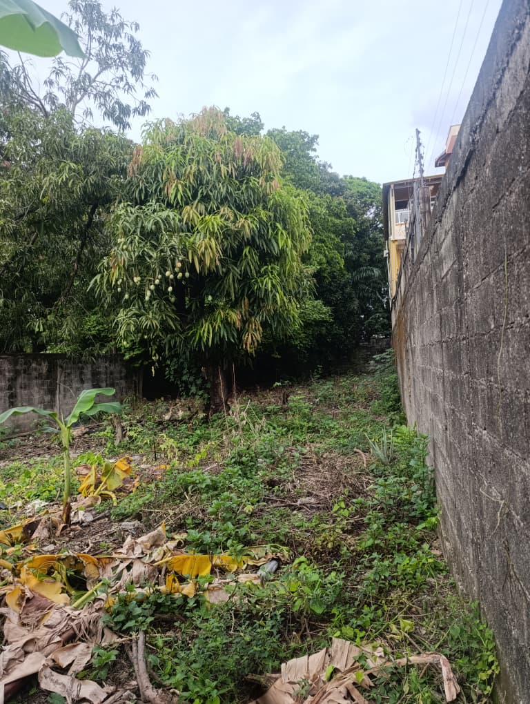 En Venta Terreno con bienhechurías ubicado en Guanare, pleno corredor vial, Calle 7 entre Carreras 13 y 14, Guanare, Portuguesa, Venezuela - Imagen 6