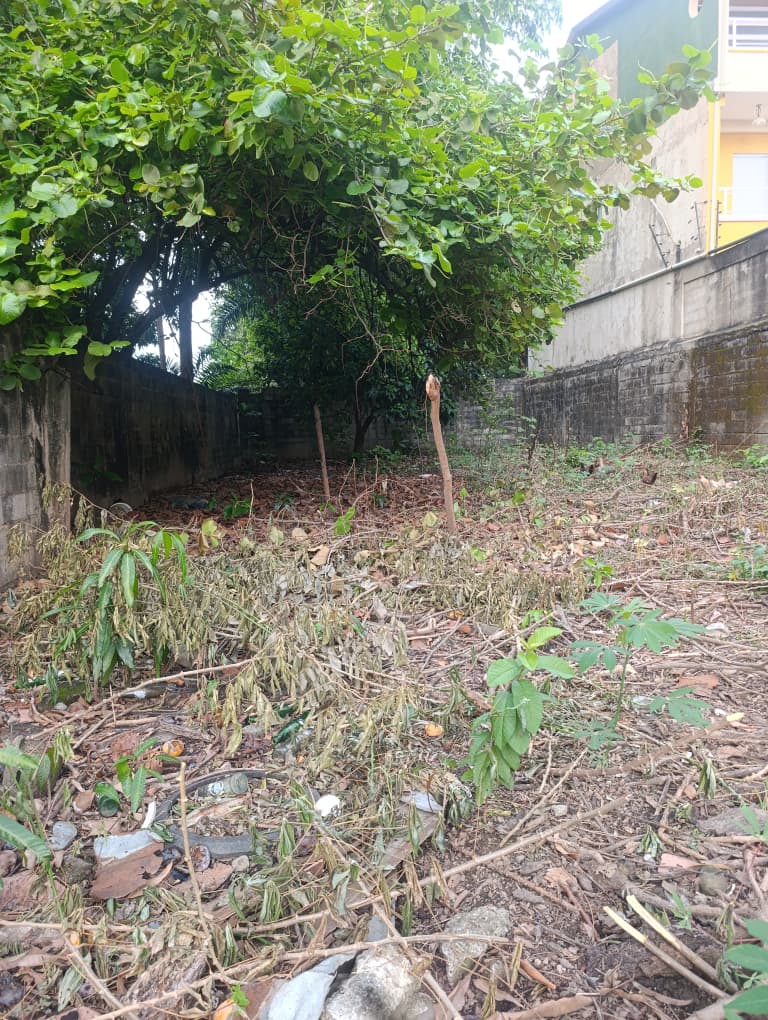 En Venta Terreno con bienhechurías ubicado en Guanare, pleno corredor vial, Calle 7 entre Carreras 13 y 14, Guanare, Portuguesa, Venezuela - Imagen 7