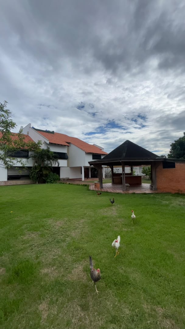 En Venta dos Casas con amplia parcela de terreno ubicadas en el Sector La Colonia, parte alta, Guanare, Portuguesa, Venezuela - Imagen 25