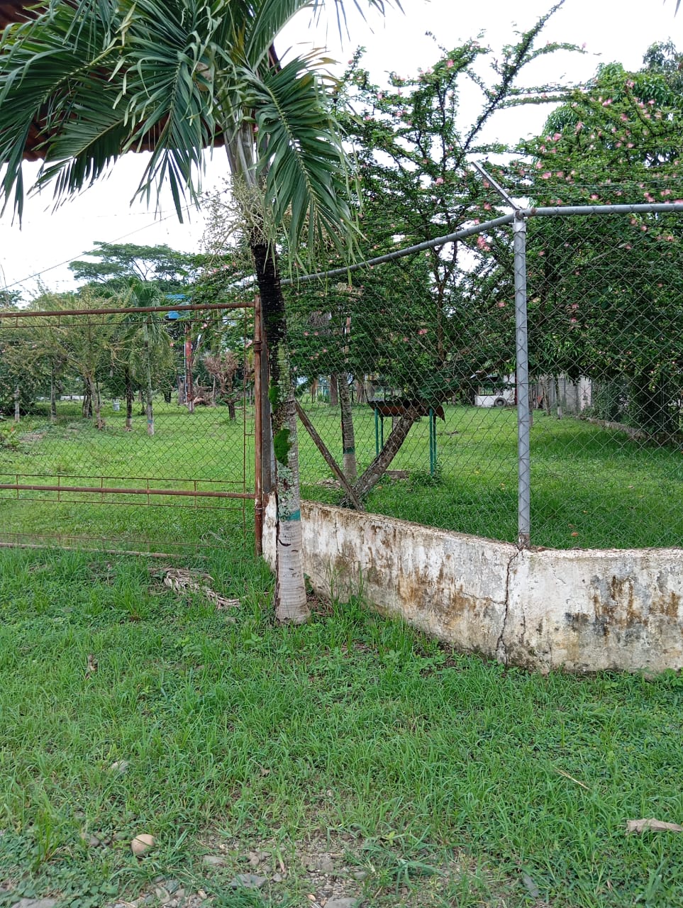 En Venta Parcela ubicada en Guanare, Suruguapo Asentamiento Media Luna, Sector Los Alambres, Guanare, Portuguesa, Venezuela - Imagen 6